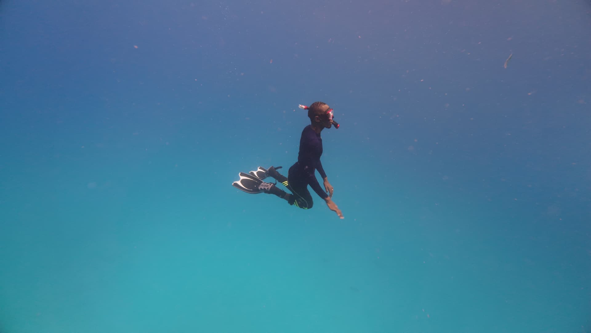 Free-diver surveying a survey site