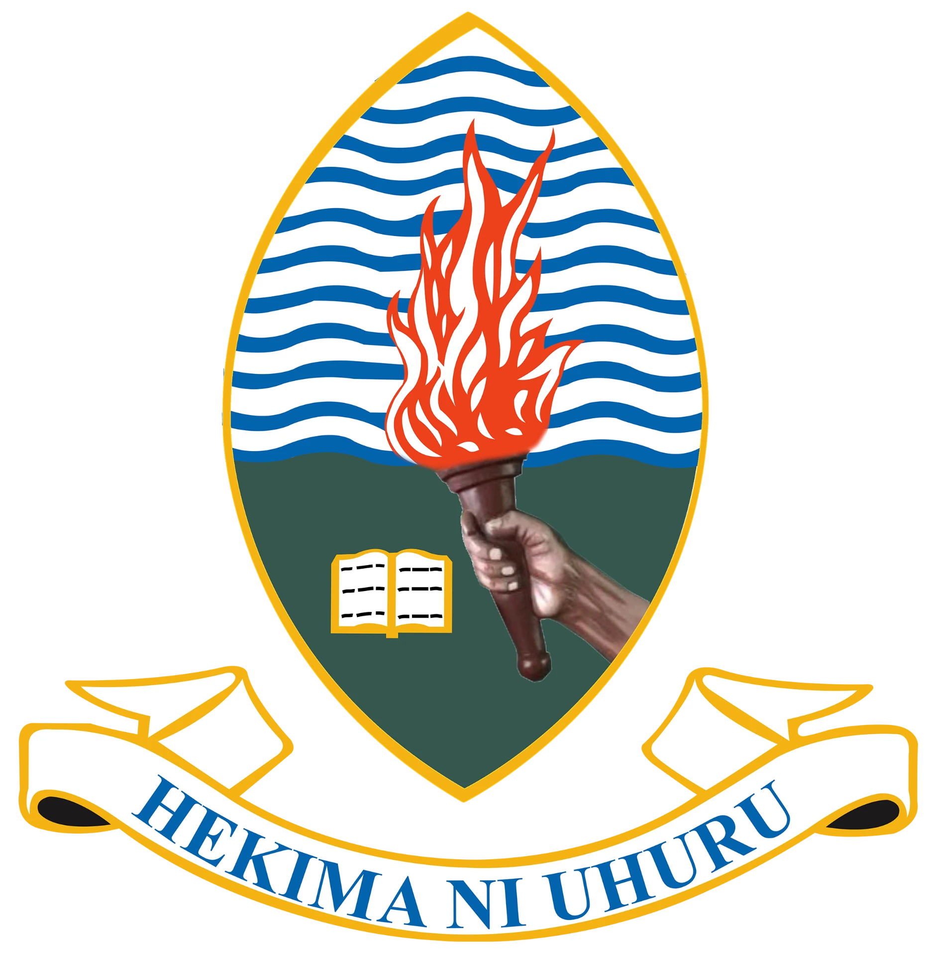 University of Dar es Salaam